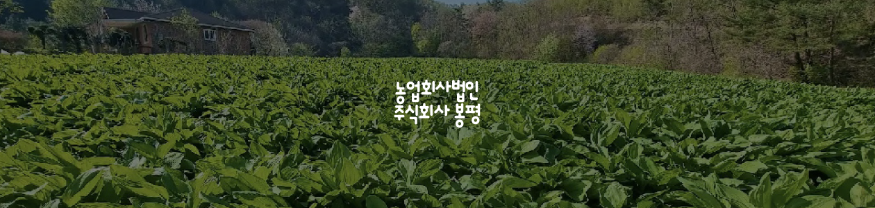 회사 이미지